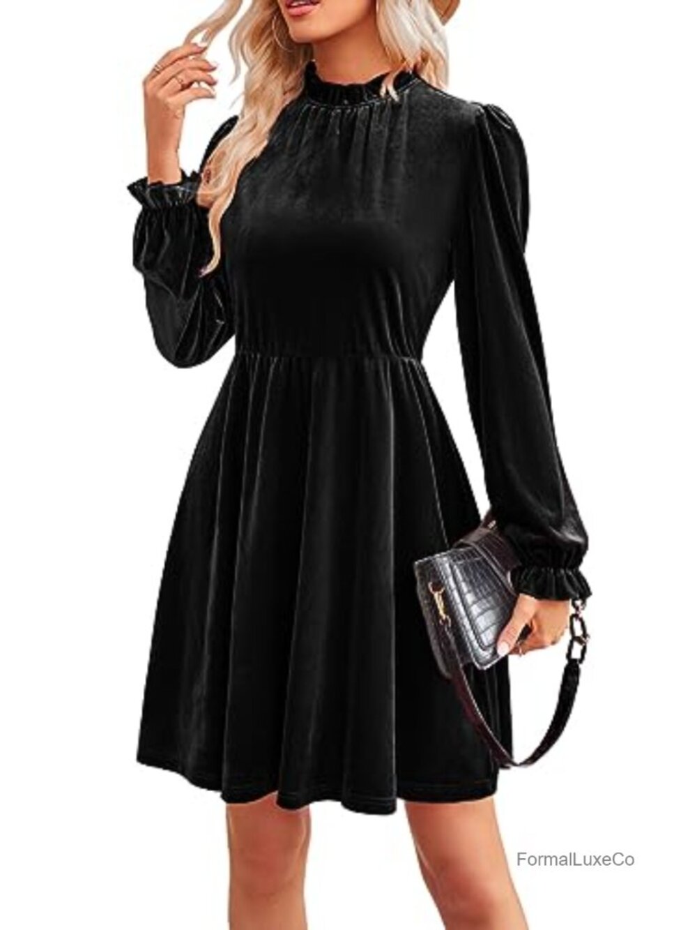 Women's Long Sleeve Velvet Fit & Flare Puff Sleeve Mini Dress
